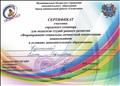 Сертификат участника городского семинара "Формирование социально-личностной компетенции дошкольников в условиях дополнительного образования" 2017г.